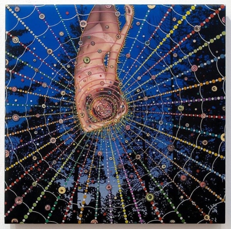 &nbsp;, FRED TOMASELLI