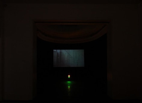 APICHATPONG WEERASETHAKUL, Morakot (Emerald) 莫拉克（翡翠色）, Installation view, James Cohan Gallery, Shanghai, 2010