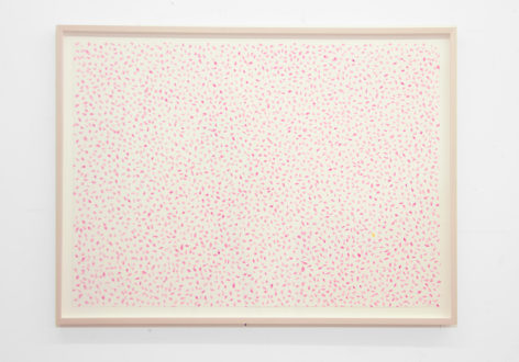 SPENCER FINCH, Prairie (clover, and a bee)