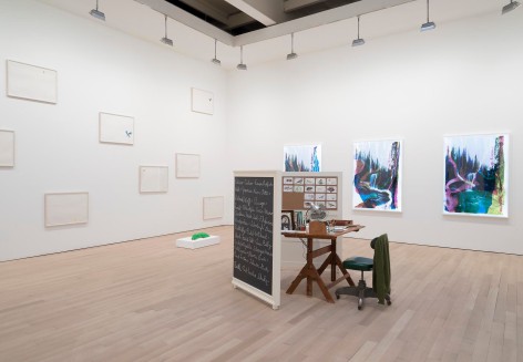 , The Fifth Season,&nbsp;2014 Installation view