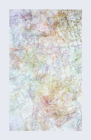 INGRID CALAME, # 181 Working Drawing, 2005, color pencil on trace Mylar, 176 x 88 inches