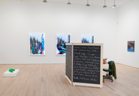 , The Fifth Season,&nbsp;2014 Installation view