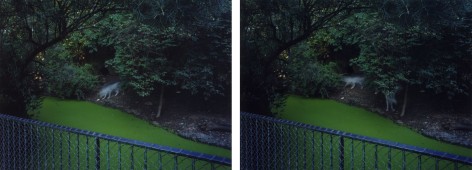 &Egrave;VE K. TREMBLAY | DAY FOR NIGHT&nbsp;| C-PRINT | 30 X 40 INCHES EACH | 2003
