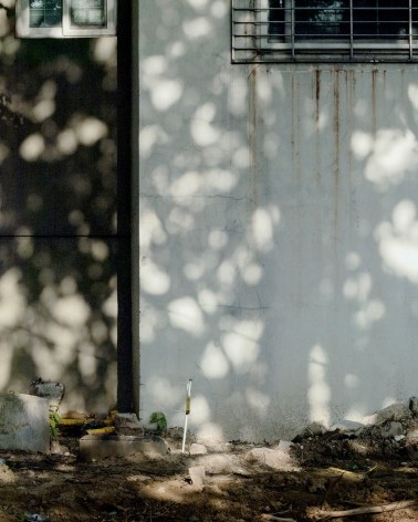 JINYOUNG&nbsp;KIM | TREE SHADOW ON CONCRETE&nbsp;| &Eacute;PREUVE CHROMOG&Egrave;NE&nbsp;| 24&nbsp;X 19 POUCES&nbsp;| &Eacute;DITION DE&nbsp;5 | 2019, &nbsp;