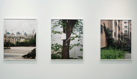 JINYOUNG KIM | APPARITIONS OF COLLECTIVE DISPOSITION | INSTALLATION VIEW | PATRICK MIKHAIL GALLERY | MONTR&Eacute;AL, &nbsp;