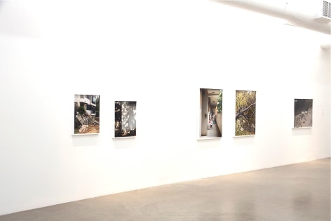 JINYOUNG KIM | APPARITIONS OF COLLECTIVE DISPOSITION | INSTALLATION VIEW | PATRICK MIKHAIL GALLERY