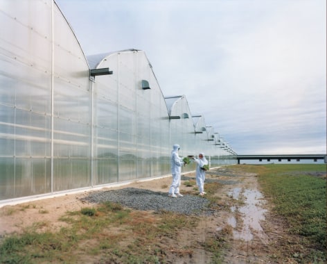 &Egrave;VE K. TREMBLAY | HORS SERRE | C-PRINT | 2005