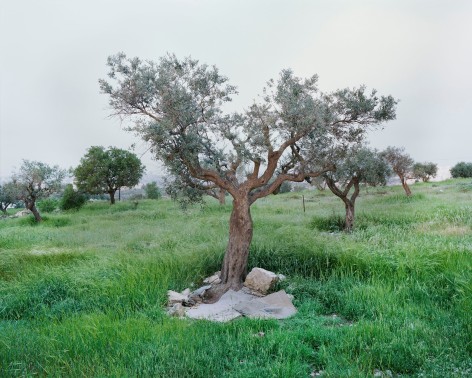 End of Hebron Road, 2019-2023, Inkjet print, 142 x 180 cm