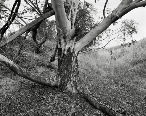 Hideout, 2023-24, Inkjet print, 68.5 x80 cm
