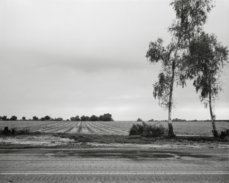 Highway 232, 2023, Inkjet print, 33.6 x 42 cm