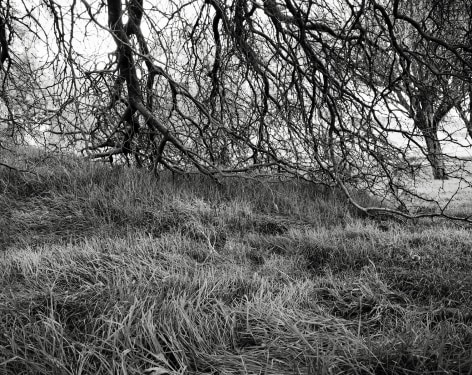 Hideout, 2023-24, Inkjet print, 68.5 x 80 cm