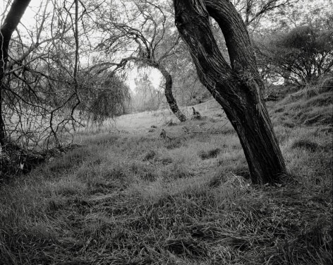 Hideout, 2023-24, Inkjet Print, 68.5 x 80 cm