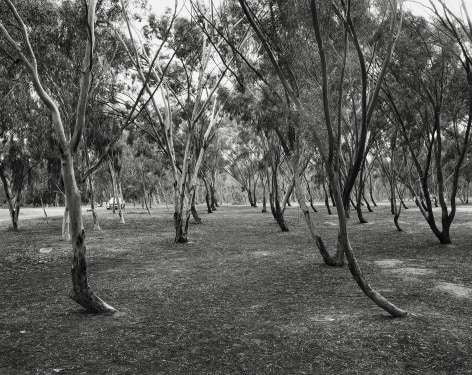Diptych, Re&rsquo;im Parking Lot, 2024 (1)