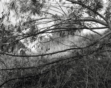 Hideout, 2023-24, Inkjet print, 68.5 x 80 cm