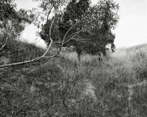Hideout, 2023-24, Inkjet print, 68.5 x 80 cm