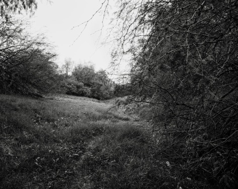 Hideout, 2023-24, Inkjet print, 68.5 x 80 cm