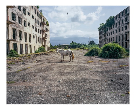 Horse,&nbsp;Abkhazia,&nbsp;2015, 35 7/16&nbsp;&nbsp;x 47 &frac14; inches