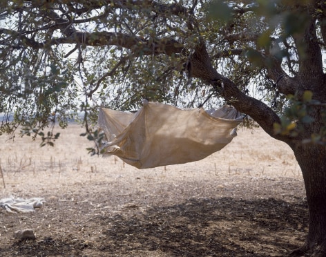 SHARON YA&#039;ARI, Hammock, 2001