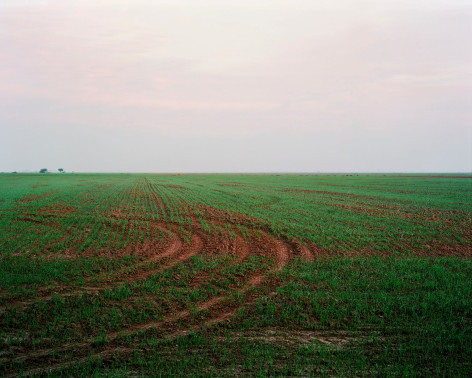 East to West, 2024, Inkjet print, 160 x 200 cm