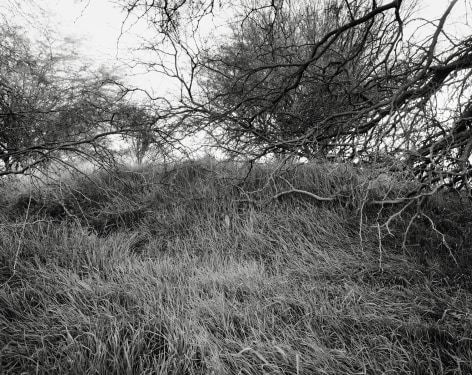 Hideout, 2023-24, Inkjet print, 68.5 x 80 cm