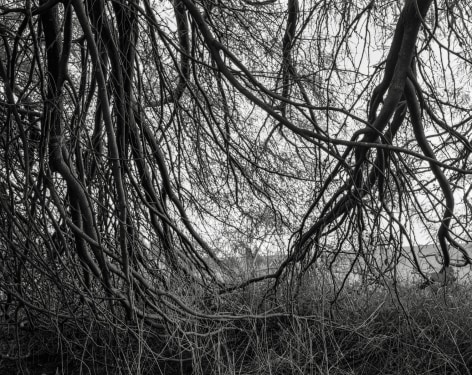 Hideout, 2023-24, Inkjet print, 68.5 x 80 cm