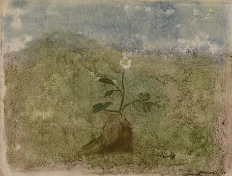 Morris Graves, Winter Flowers