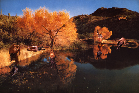 Marnie Weber Bunnies at the Pond Playing, 1997