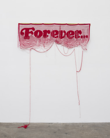 Lisa Anne Auerbach, Forever..., 2022