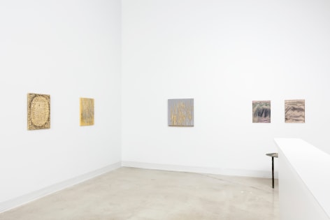 Spotlight: Nancy Lorenz