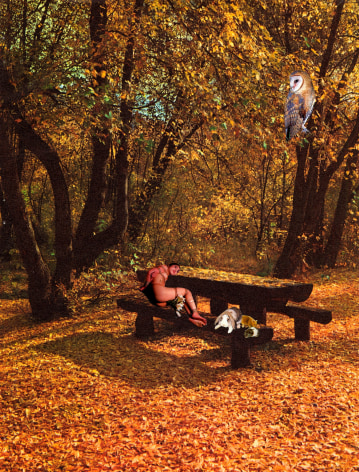 Marnie Weber The Picnic Bench, 1997