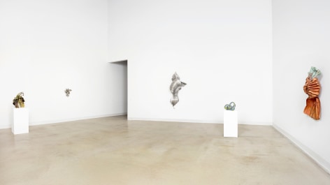 Beyond Boundaries: The Multidimensional Art of Lynda Benglis
