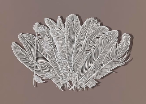 Trimming Feathers, 2012