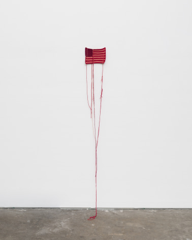 Lisa Anne Auerbach, Flag Study 1, 2022