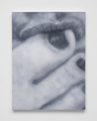 Betty Tompkins Sex Painting #7, 2020