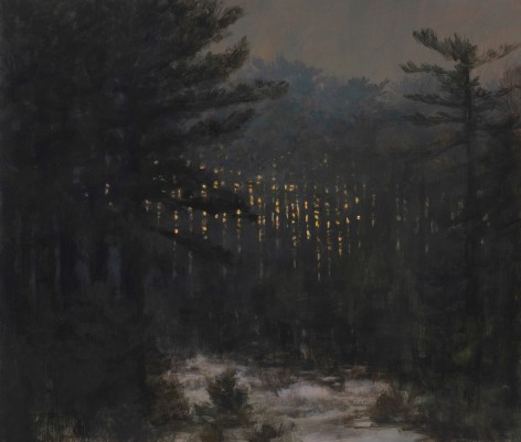 Forest sunset sunrise pine trees