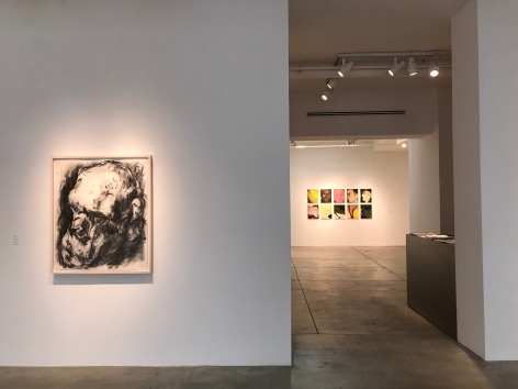 installation view