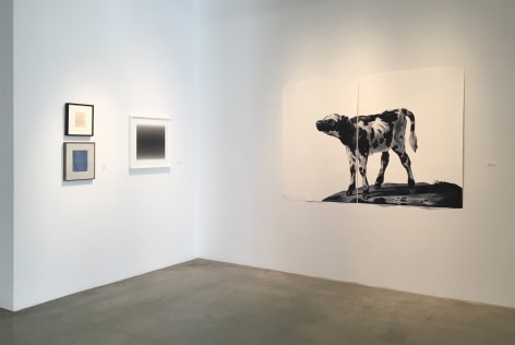 Drawing Conclusions, Installation View