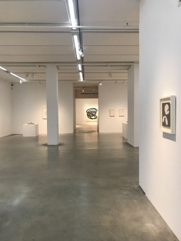 installation view