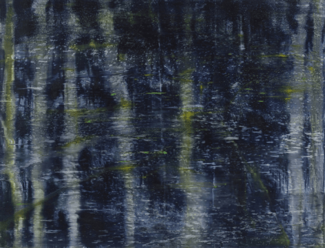 Matthias Meyer,&nbsp;Dark Water Painting 2,&nbsp;2011,&nbsp;oil on linen,&nbsp;51 1/4 x 67 inches