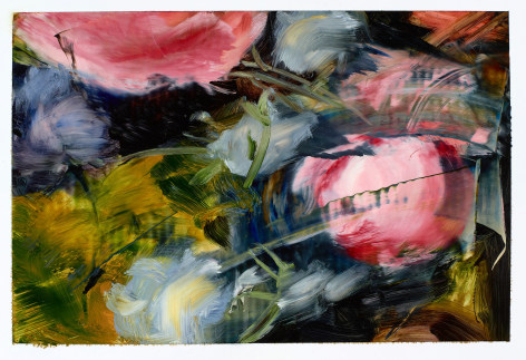 Elise Ansel, oil study I for Ruysch Flower Details, 2019