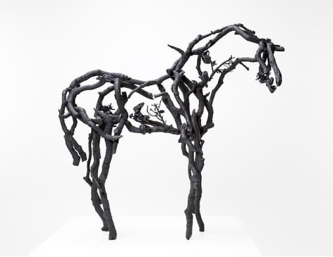 Deborah Butterfield Hiwa, 2014