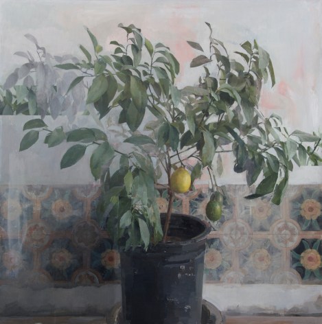 Zoey Frank, Lemon Tree, 2016