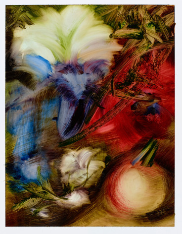 Elise Ansel, oil study V for Ruysch Flower Details, 2019