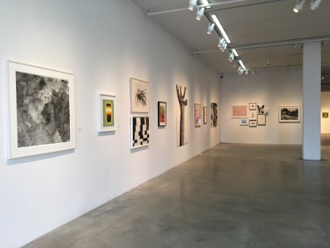 Drawing Conclusions, Installation View