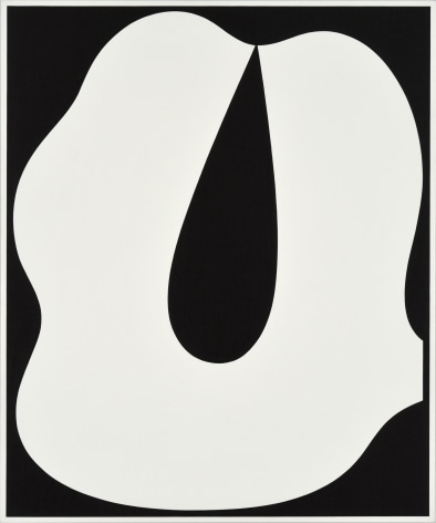 Cary Smith, Shape #2 (black-white), 2017