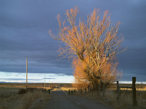 Lucas Foglia, Driveway, 71 Ranch, Deeth, Nevada, 2012