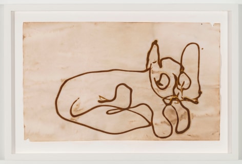 BRIAN BELOTT, Mustard Drawing (Cat),&nbsp;2015