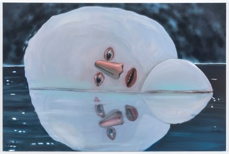 Anja Salonen, The Sex Life of Stones, 2018