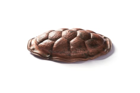 David Bielander Tortoise Shell