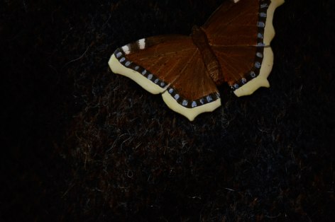 Jutta Klingebiel enamel butterfly brooch